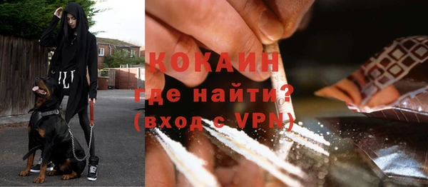 индика Абдулино
