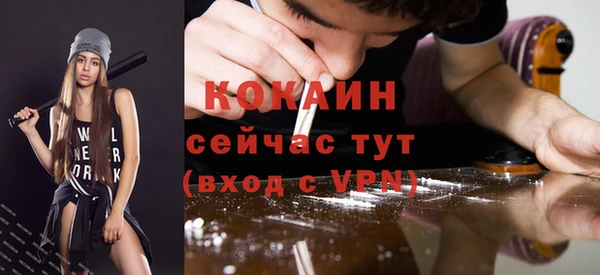 дживик Абинск