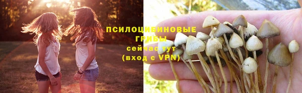 герыч Абаза