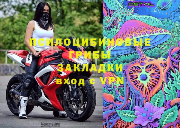 дживик Абинск