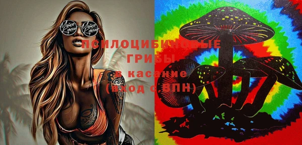индика Абдулино