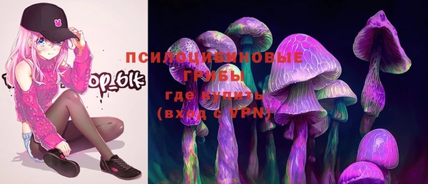 индика Абдулино