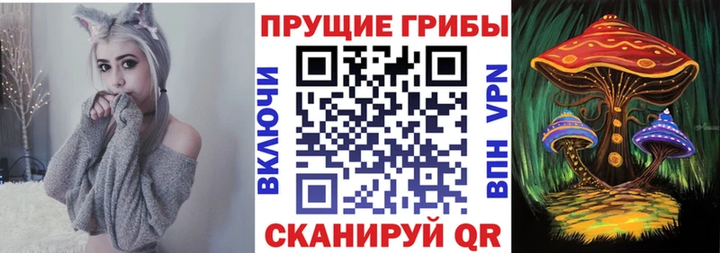 KRAKEN ссылка  Партизанск  Псилоцибиновые грибы мицелий 